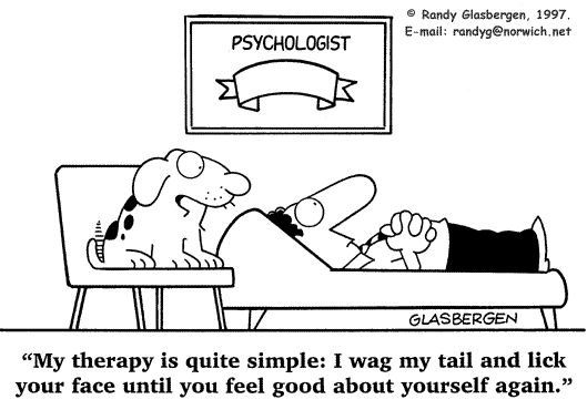 Although not yet approved for professional certification in North America, Pet Therapists have the right to practice and offer support to a range of different clientele. #pet #therapist #aprilfools