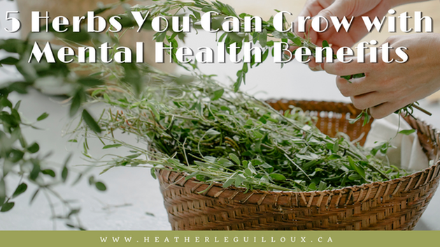 If you already utilize aroma therapy in your mental health tool kit, you might be pleasantly surprised to learn that you can grow your herbal health garden. There’s an added physical health benefit of growing your own herbal garden. Gardening often involves low-intensity exercise and is a therapeutic activity to take a break from a stressful day or enjoy peace and quiet. #herbs #gardening #mentalhealth