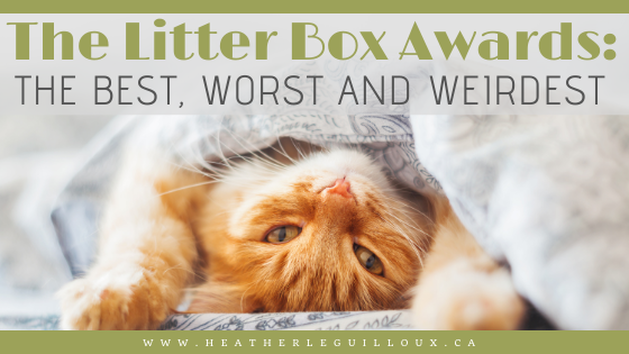 When my eldest cat started to have sneeze attacks on a daily basis, I started to worry about his well-being. What was causing him to sneeze sometimes 10 times in a row!? This led me on a search for other litter box options. My search led me to find the best, worse and definitely some weird options for litter boxes! Learn from about the Breeze Litter System which earned the best letter box award. #litterbox #cats #furryfriends #healthypet #breezelitterbox