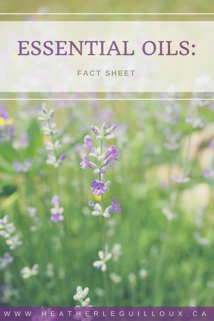Learn more about essential oils, how they can be used, and where to start buying them. Also includes a free printable fact sheet about essential oils & examples of DIY and recipes you can make. #essentialoils #facts #introduction